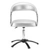 Imagen de Silla Sillón Peluqueria Futura Dompel Plata