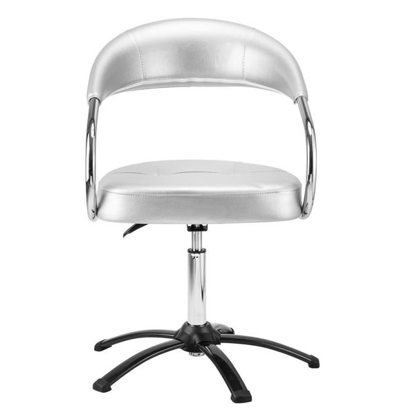 Imagen de Silla Sillón Peluqueria Futura Dompel Plata