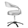 Imagen de Silla Sillón Peluqueria Futura Dompel Plata