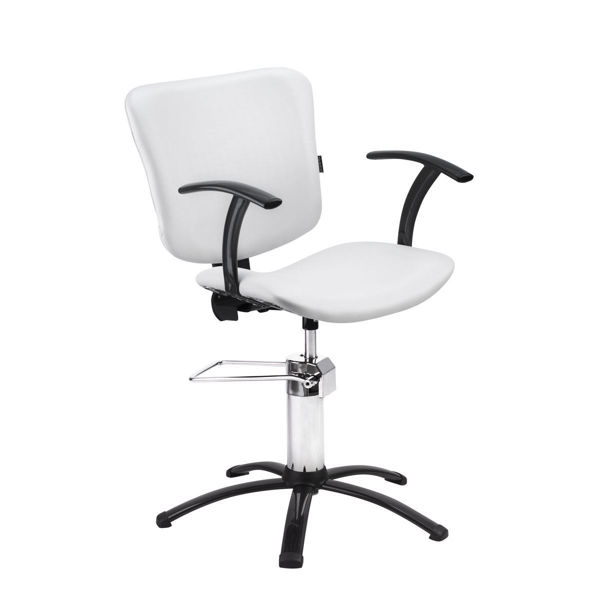 Imagen de Silla Sillón Peluqueria Luna Dompel Perla