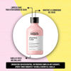 Imagen de Shampoo Loreal Serie Expert Vitamino Color 300ml