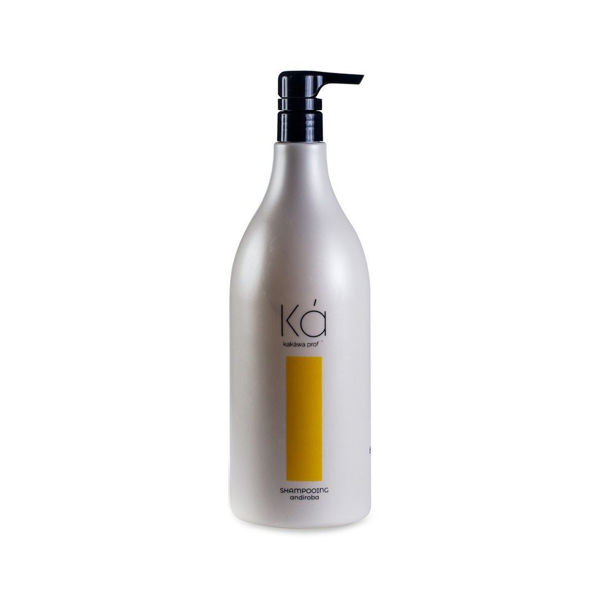 Imagen de Shampoo Post Progresivo Kakawa Andiroba 1500ml