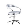 Imagen de Sillón Silla Hidraulica Dompel Futura Plata Acero Peluqueria