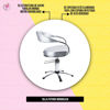 Imagen de Sillón Silla Hidraulica Dompel Futura Plata Acero Peluqueria