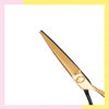 Imagen de Tijera Filo Dulce Prof. Razorline AK028BK&GD 5,5 Pulgadas