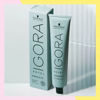 Imagen de Tinta Permanente Schwarzkopf Igora Royal Highlifts 10-0 60gr