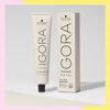 Imagen de Tinta Schwarzkopf Igora Silver Whites Slate Grey 60gr