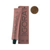 Imagen de Tinta Permanente Schwarzkopf Igora Color10 Tono 8-00 60gr