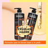 Imagen de Shampoo Sin Sal Riviera Células Madre 1L + Acondicionador Sin Sal 1L + Keratina Riviera Ka 350gr