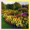 Imagen de 6 Girasoles Decorativos Para Jardín Con Luz Recargable Panel Solar 70cm