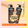 Imagen de Alisado De Células Madre Riviera 350gr + Shampoo Sin Sal Riviera Células Madre 1L + Acond Sin Sal 1L