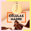 Imagen de Alisado De Células Madre Riviera 350gr + Shampoo Sin Sal Riviera Células Madre 1L + Acond Sin Sal 1L