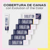 Imagen de Tinta Permanente Alfaparf Evolution Of The Color N° 6.32 60ml