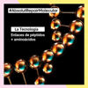 Imagen de Pack Loreal Absolut Repair Molecular Shampoo + Máscara + Crema Sin Enjugue