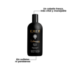 Imagen de Pack Shampoo Exel Richissime + Acondicionador Aceite De Argán Y Maracuyá 475ml