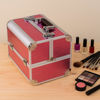 Imagen de Maletín Organizador Maquillaje Profesional Con 4 Bandejas