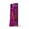 Imagen de Tinta Permanente Profesional Lakme Collage N° 10/00 60ml